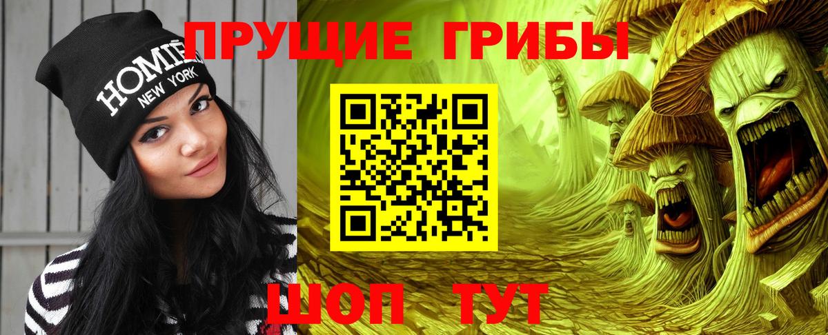 Гусев  закладки  Вход с VPN  Псилоцибиновые грибы MAGIC MUSHROOMS 