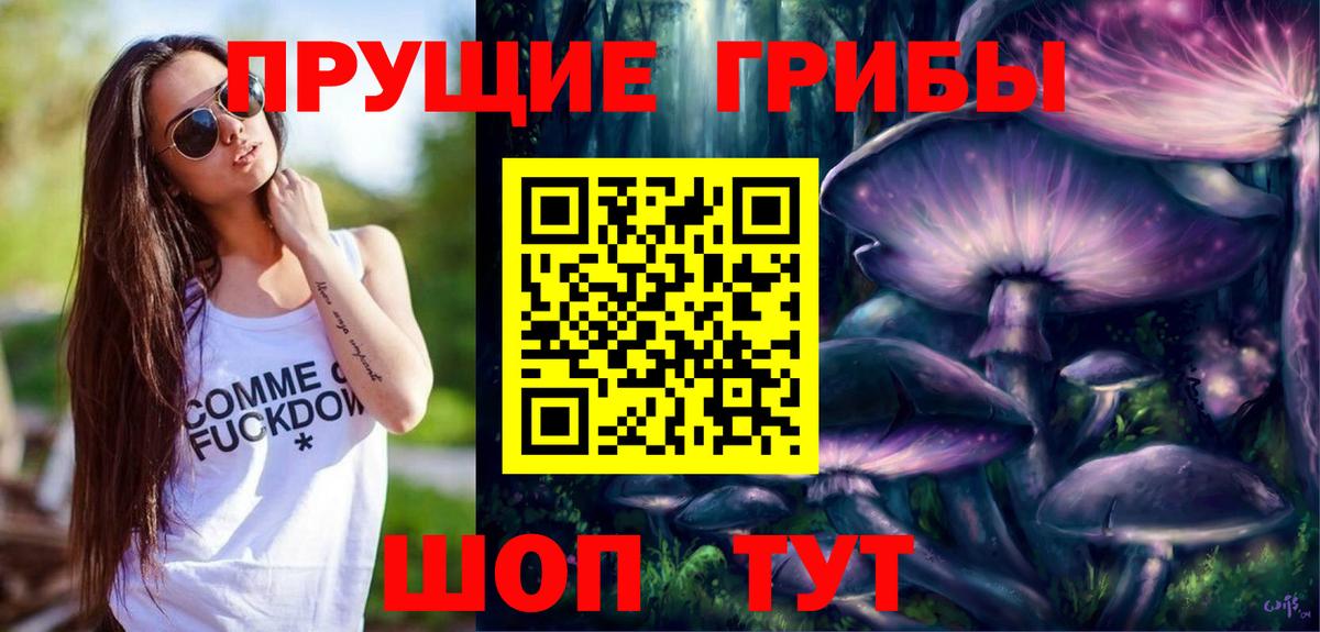 Галлюциногенные грибы Cubensis Гусев